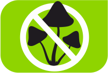 specifications icon