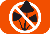 specifications icon