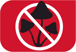 specifications icon