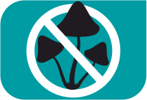 specifications icon