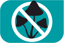 specifications icon