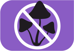 specifications icon