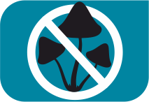 specifications icon
